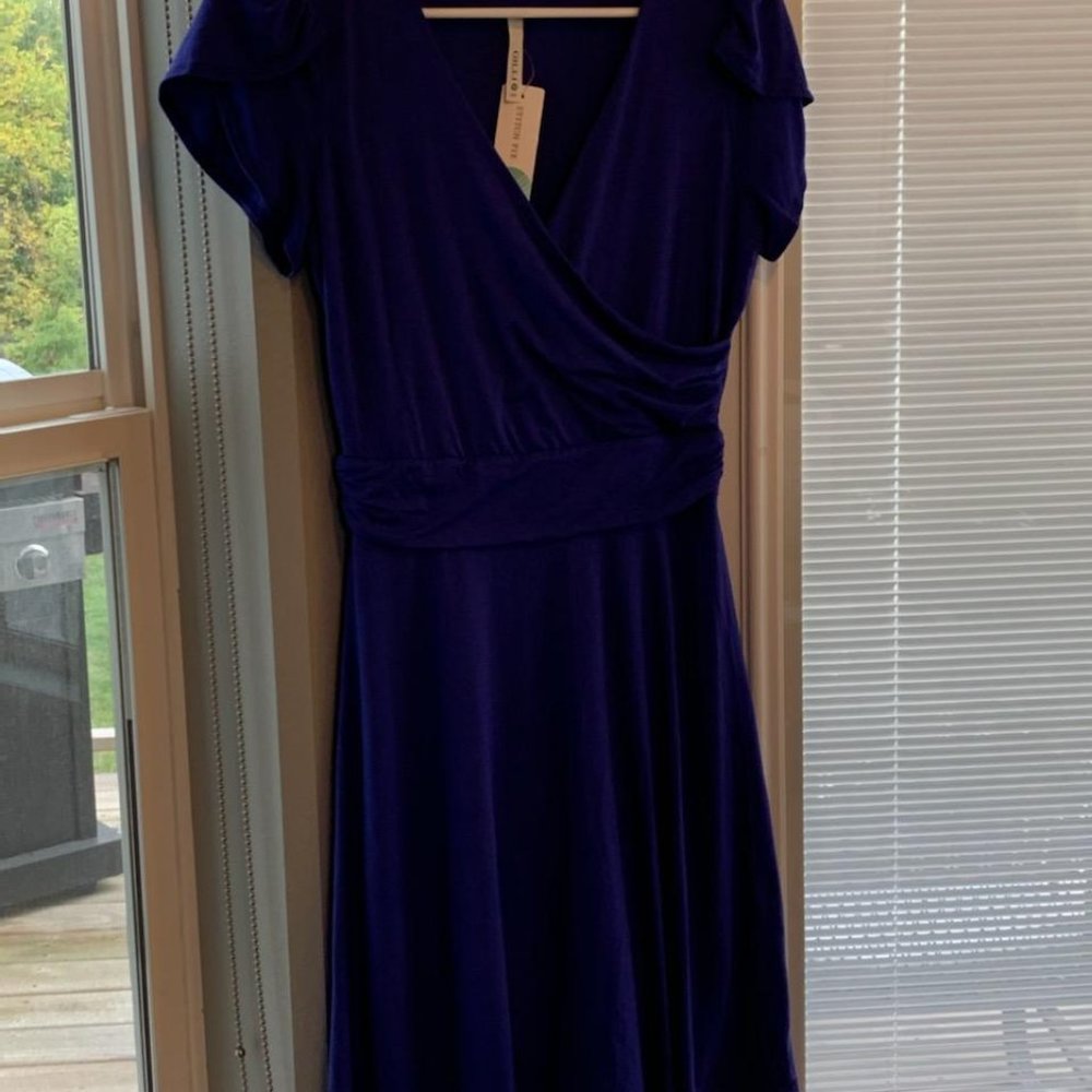 (NEW)Stitch  fix (Women) Purple Dress